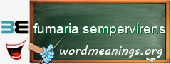 WordMeaning blackboard for fumaria sempervirens